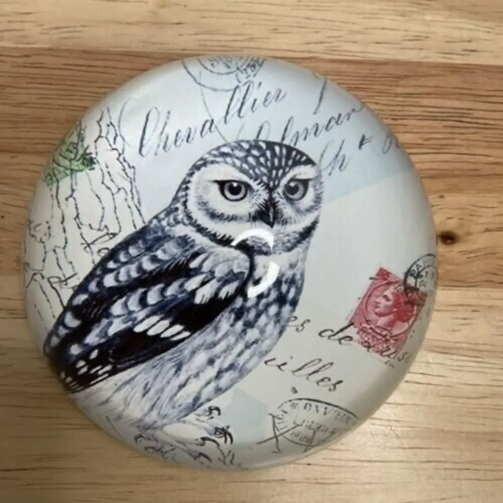 Vintage Art Glass Owl Print Living Wisdom Dome Round‎ Paperweight 1.3